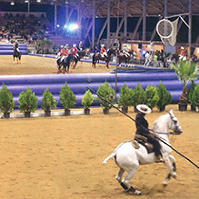 Salão do Cavalo 2014 - Rural Beja