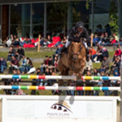 International Jumping Contest