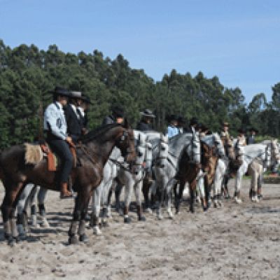 III Jornada do Campeonato do Norte de Equitação de Trabalho