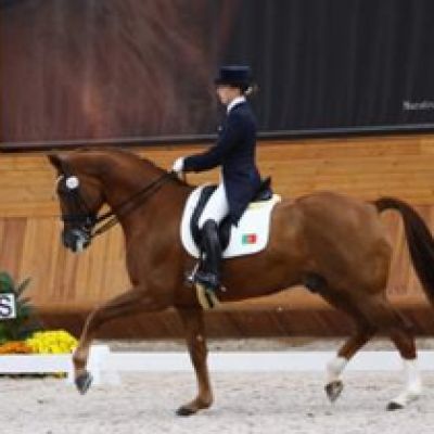 Dressage Iberian Cup – CDI 3*