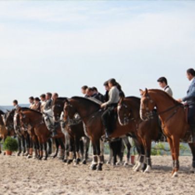 III Jornada do Campeonato do Norte de Equitação de Trabalho