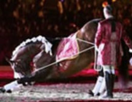 Espectáculo Equestre na Feira da Cultura de Melgaço