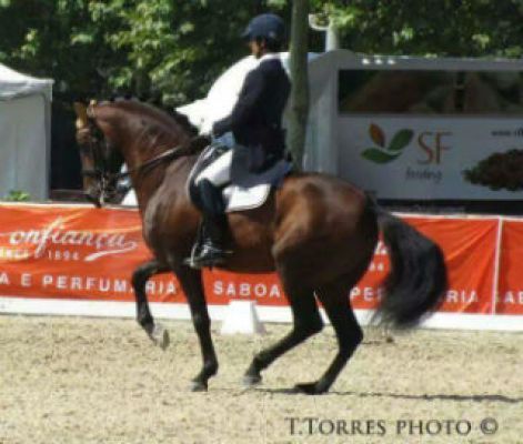 Dressage Iberian Cup – CDI 3*