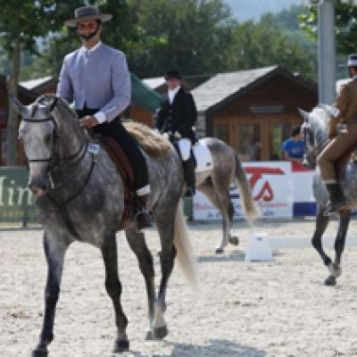 5ª Feira do Cavalo de Ponte de Lima