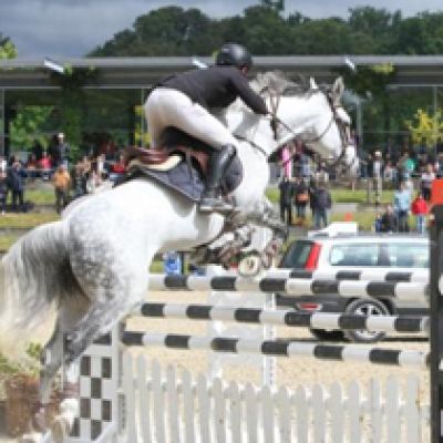 INTERNATIONAL JUMPING 3* CONTEST