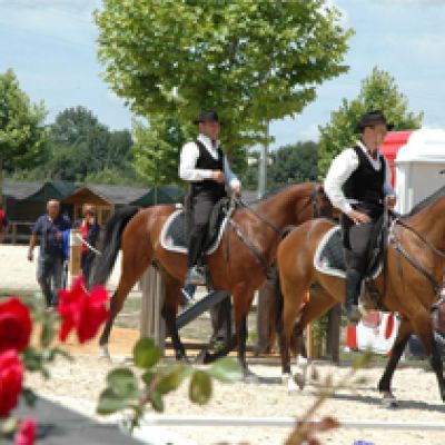 WORKING EQUITATION EUROPEAN CHAMPIONSHIP