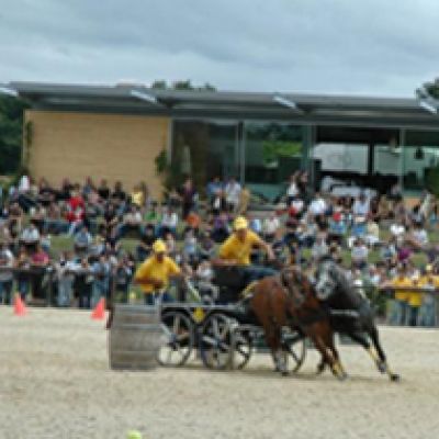 3ª FEIRA DO CAVALO DE PONTE DE LIMA