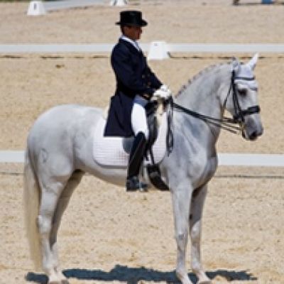 V TAÇA IBÉRICA DE DRESSAGE - CDI 3*