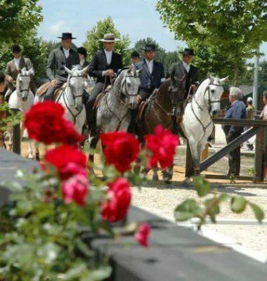 2ª FEIRA DO CAVALO DE PONTE DE LIMA