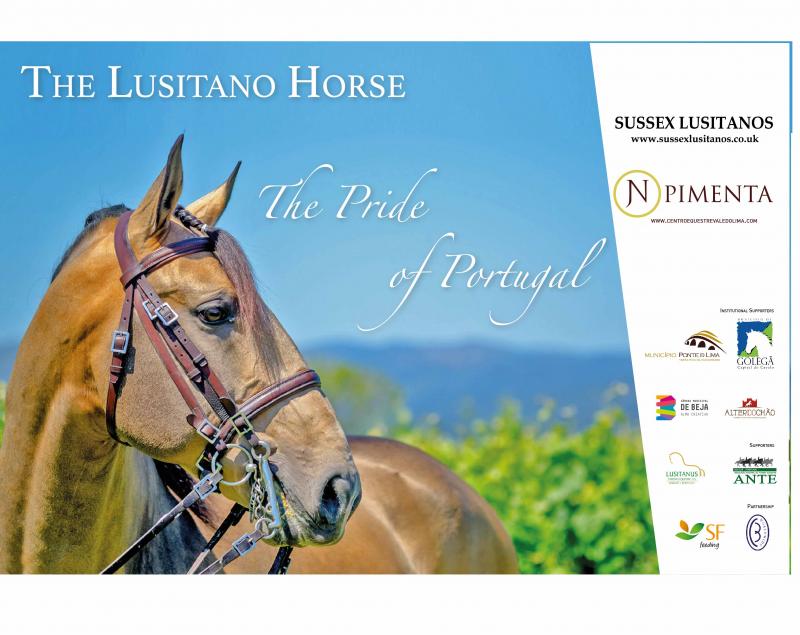 Horses of the World Poster -  Portugal