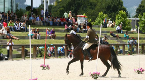 FEIRA DO CAVALO PONTE DE LIMA