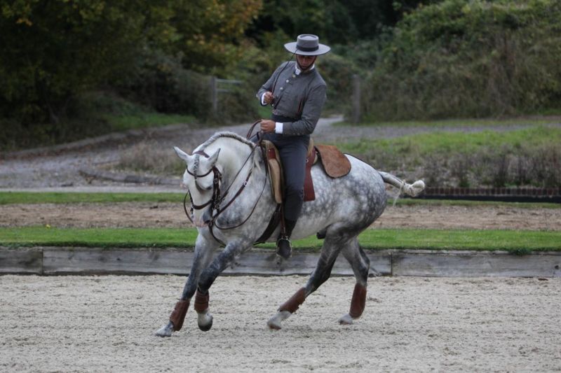 The Pride of Portugal comes to Olympia