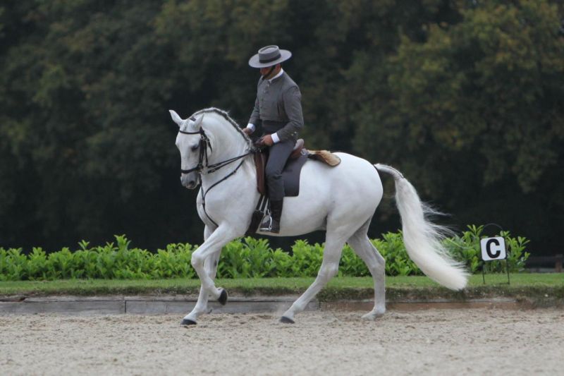 The Pride of Portugal comes to Olympia