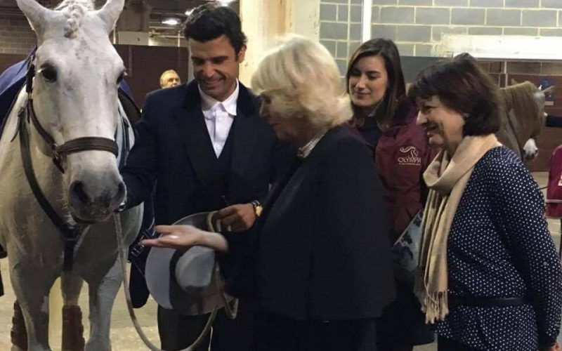 &ldquo;O Orgulho de Portugal&rdquo; brilha no London International Horse Show