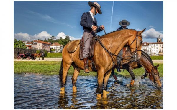 Ponte de Lima, Destino Equestre Internacional!