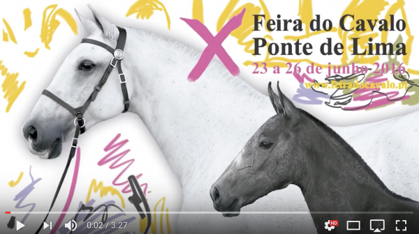 Reportagem da X Feira do Cavalo de Ponte de Lima