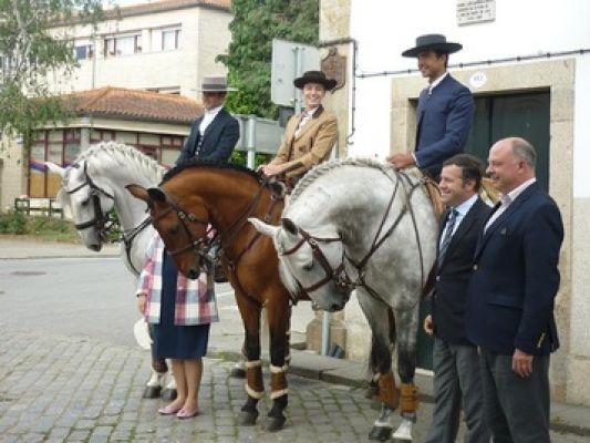 Aposta equestre rendeu 40 milhões a Ponte de Lima