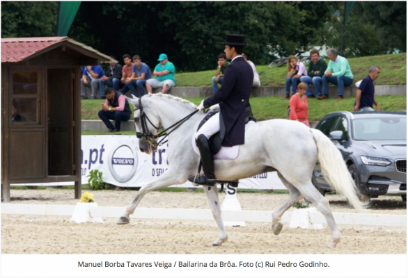 Ponte de Lima: III Jornada da Taça de Portugal de Dressage