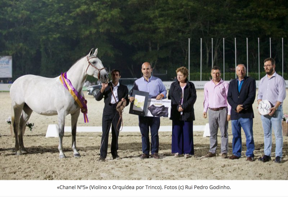 “Chanel Nº5” eleita Campeã dos Campeões em Ponte de Lima