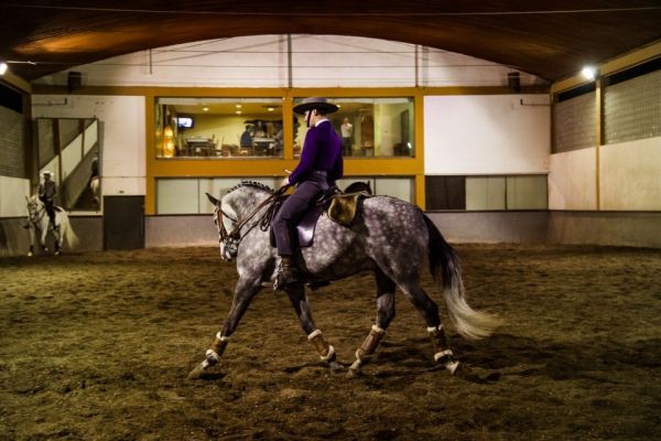 Turismo Equestre: Dormir e passear em Ponte de Lima