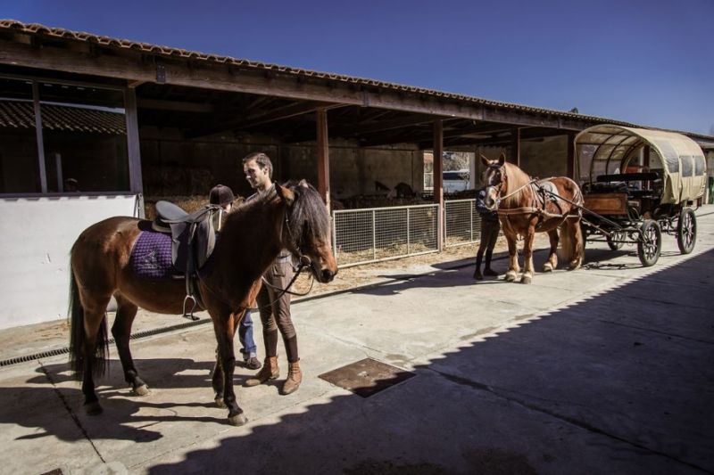 Turismo Equestre: Dormir e passear em Ponte de Lima