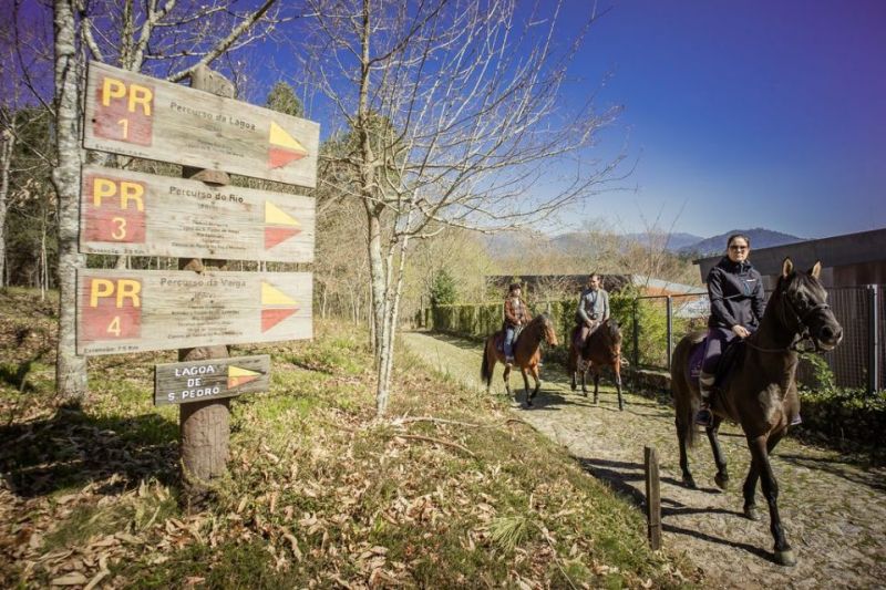 Turismo Equestre: Dormir e passear em Ponte de Lima