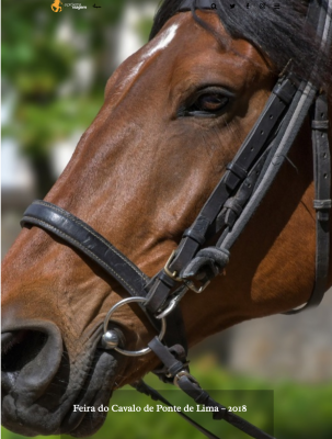 Feira do Cavalo de Ponte de Lima – 2018