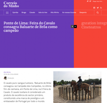 Ponte de Lima: Feira do Cavalo consagra Baluarte de Brôa como campeão
