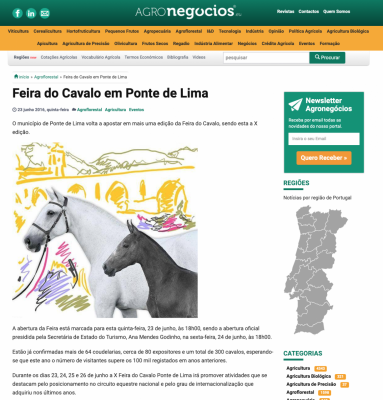 Feira do Cavalo em Ponte de Lima